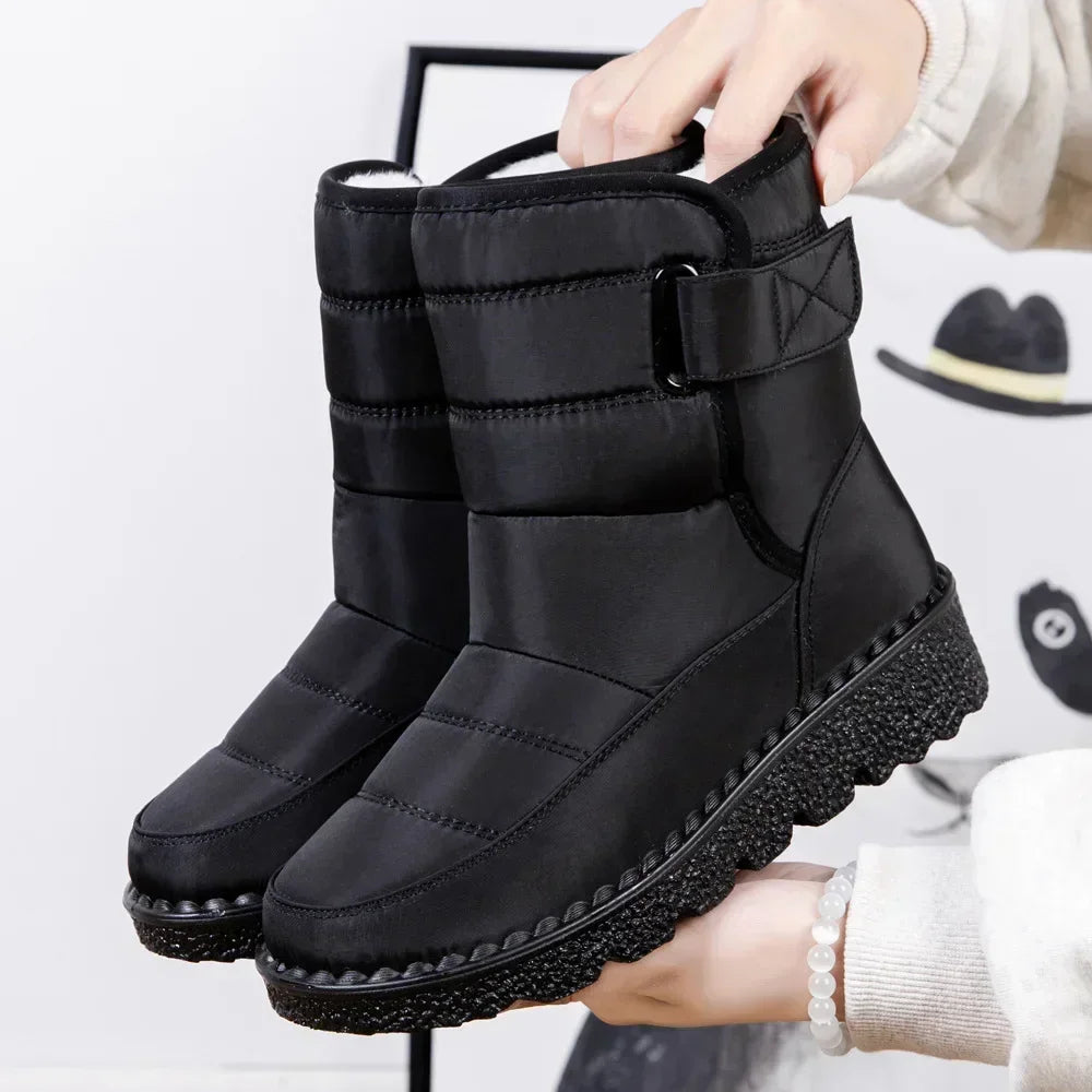 Black / 12