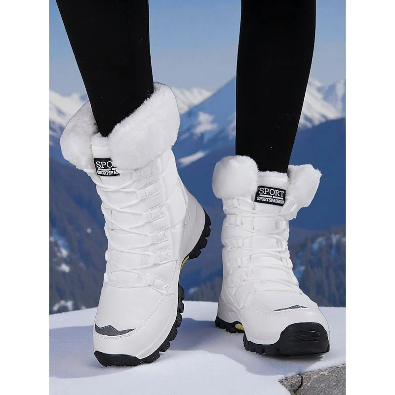 White / 12