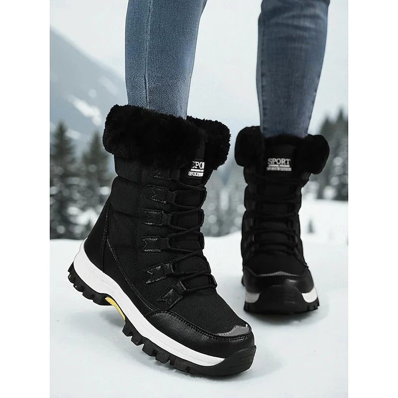 Black / 12